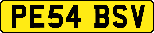 PE54BSV
