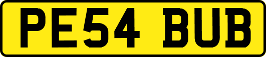 PE54BUB