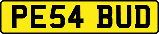 PE54BUD