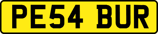 PE54BUR