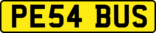 PE54BUS