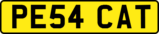 PE54CAT
