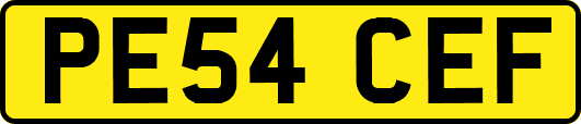 PE54CEF