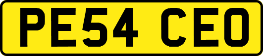 PE54CEO