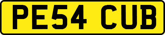 PE54CUB