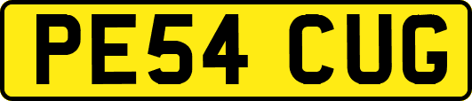 PE54CUG