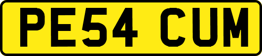 PE54CUM