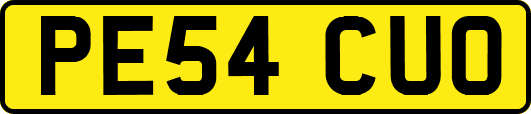 PE54CUO