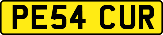 PE54CUR
