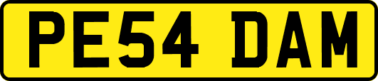 PE54DAM