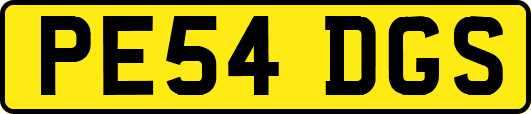 PE54DGS