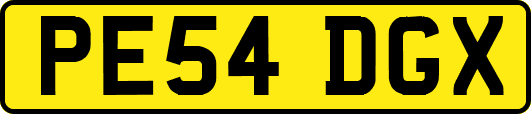 PE54DGX
