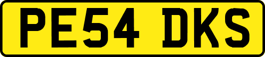PE54DKS