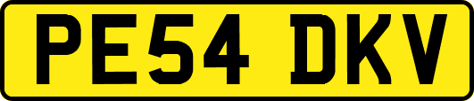 PE54DKV