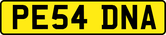 PE54DNA