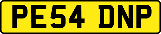 PE54DNP