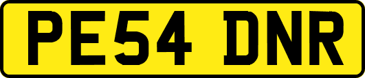 PE54DNR
