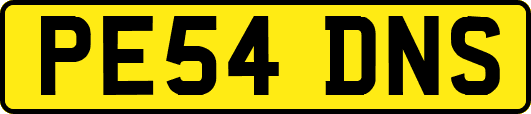 PE54DNS