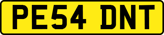 PE54DNT