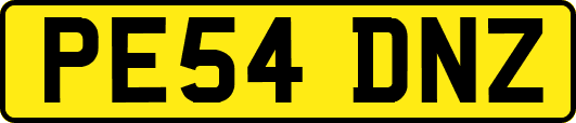 PE54DNZ