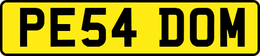 PE54DOM