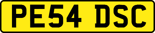 PE54DSC
