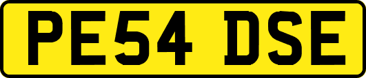 PE54DSE