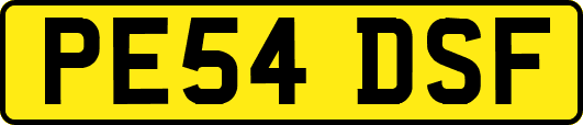 PE54DSF