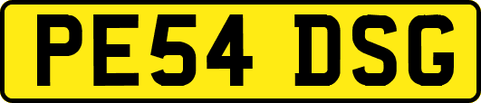PE54DSG