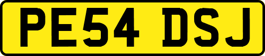 PE54DSJ