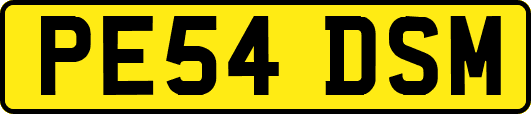 PE54DSM
