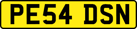 PE54DSN