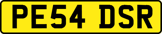 PE54DSR