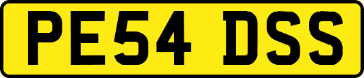 PE54DSS