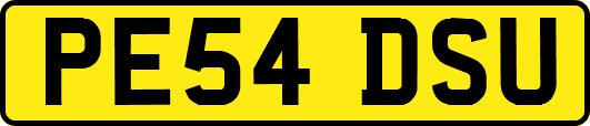 PE54DSU