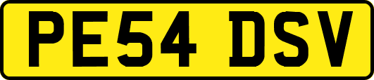 PE54DSV