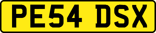 PE54DSX