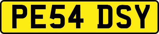 PE54DSY