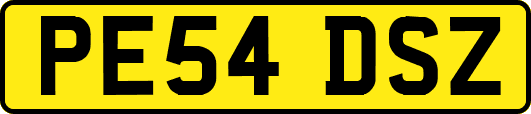 PE54DSZ
