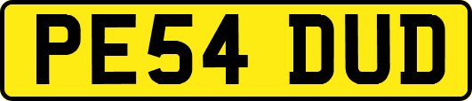 PE54DUD