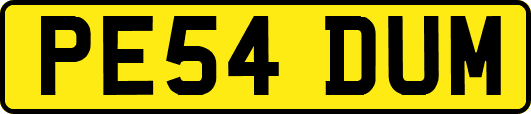 PE54DUM