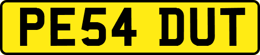 PE54DUT