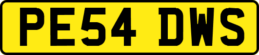 PE54DWS