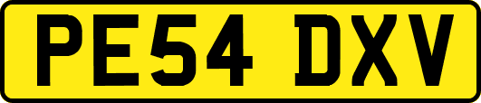 PE54DXV