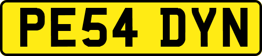 PE54DYN
