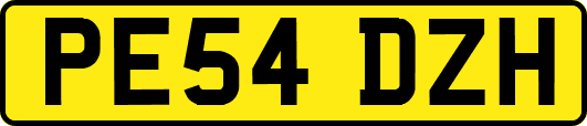 PE54DZH