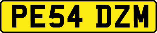 PE54DZM