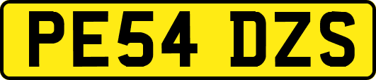 PE54DZS