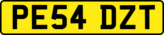 PE54DZT