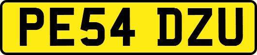 PE54DZU